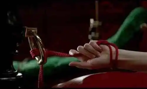 西檬之家Tickle游戏怎么玩？字母圈新人必看指南 一