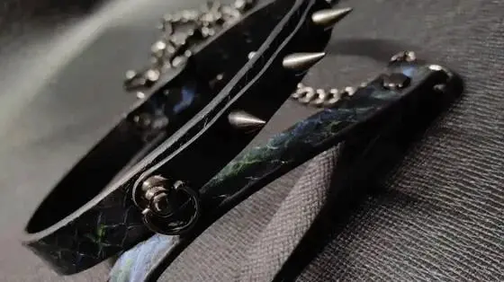 西檬之家深入了解sp小圈：你的BDSM之旅从这里开始！ 一