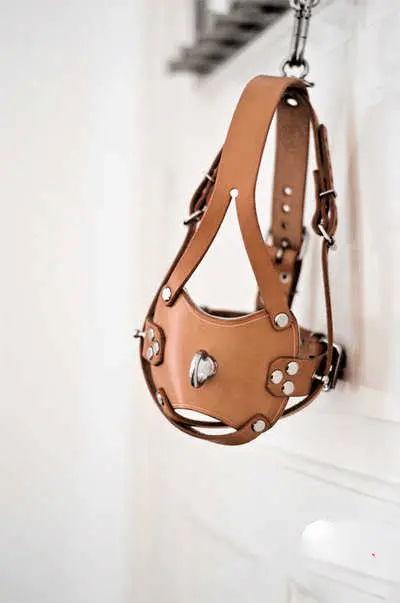 西檬之家k9犬系是什么？2025年犬系文化新人指南 一